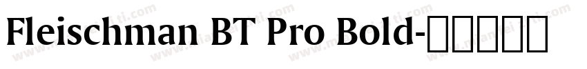 Fleischman BT Pro Bold字体转换
